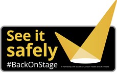 See It Safely Logo
